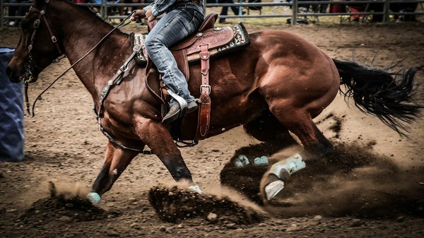 How can professional rodeo participants effectively manage risk during bull riding events?